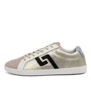 NWT Rollie Prime Gold Scale